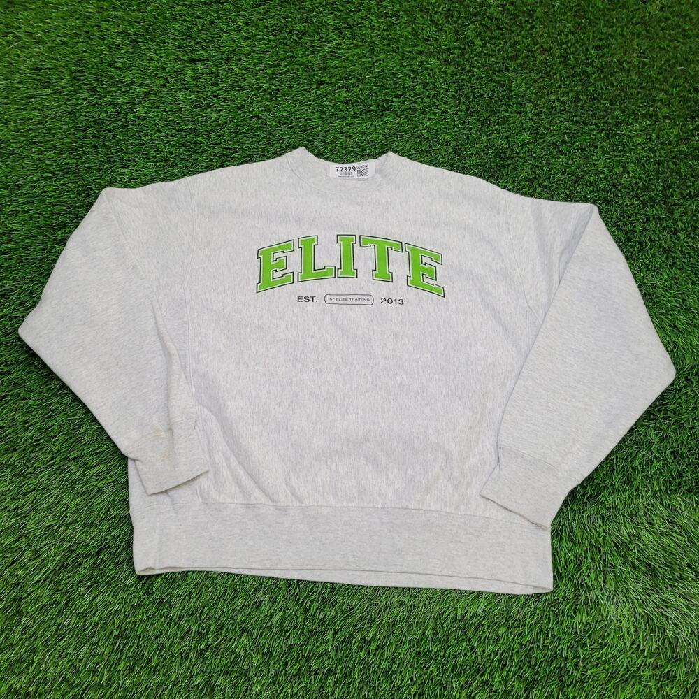 Champion Reverse-Weave Sweatshirt Large 24x25 Baggy Gray